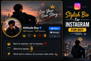 250+ Stylish Bio For Instagram For Boy